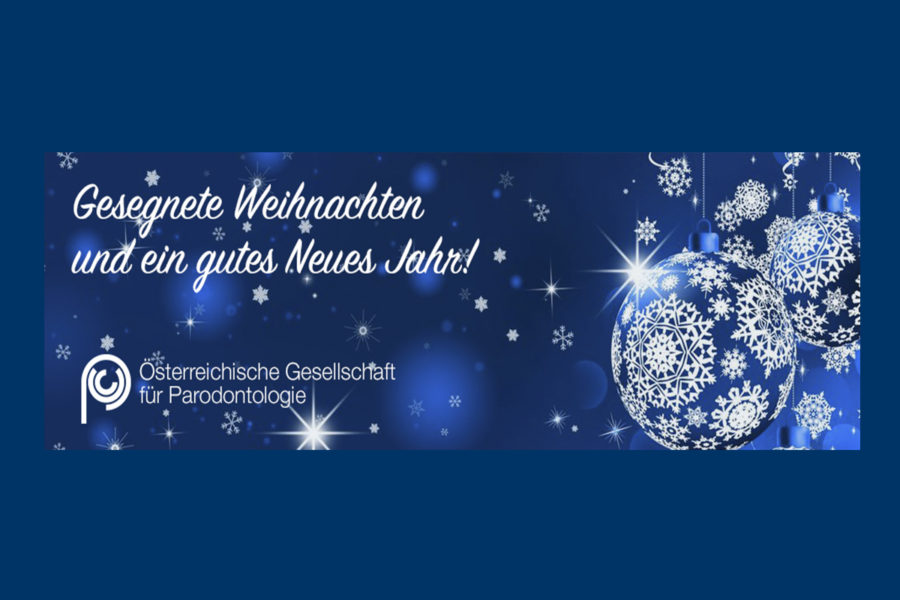 Gesegnete Weihnachten & ein gutes neues Jahr